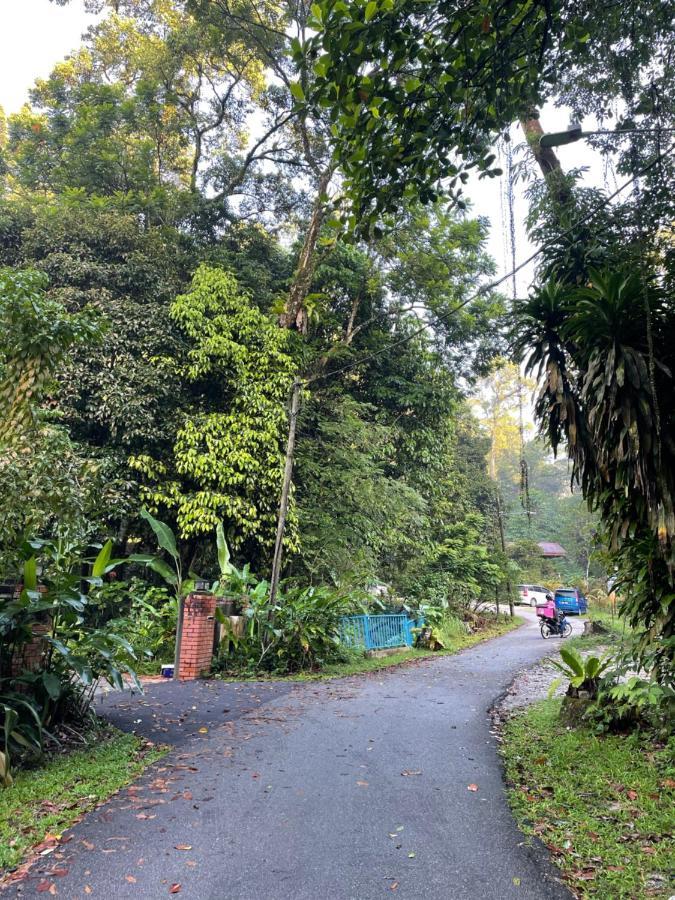 Purimai Jungle House In The Heart Of * Kuala Lumpur