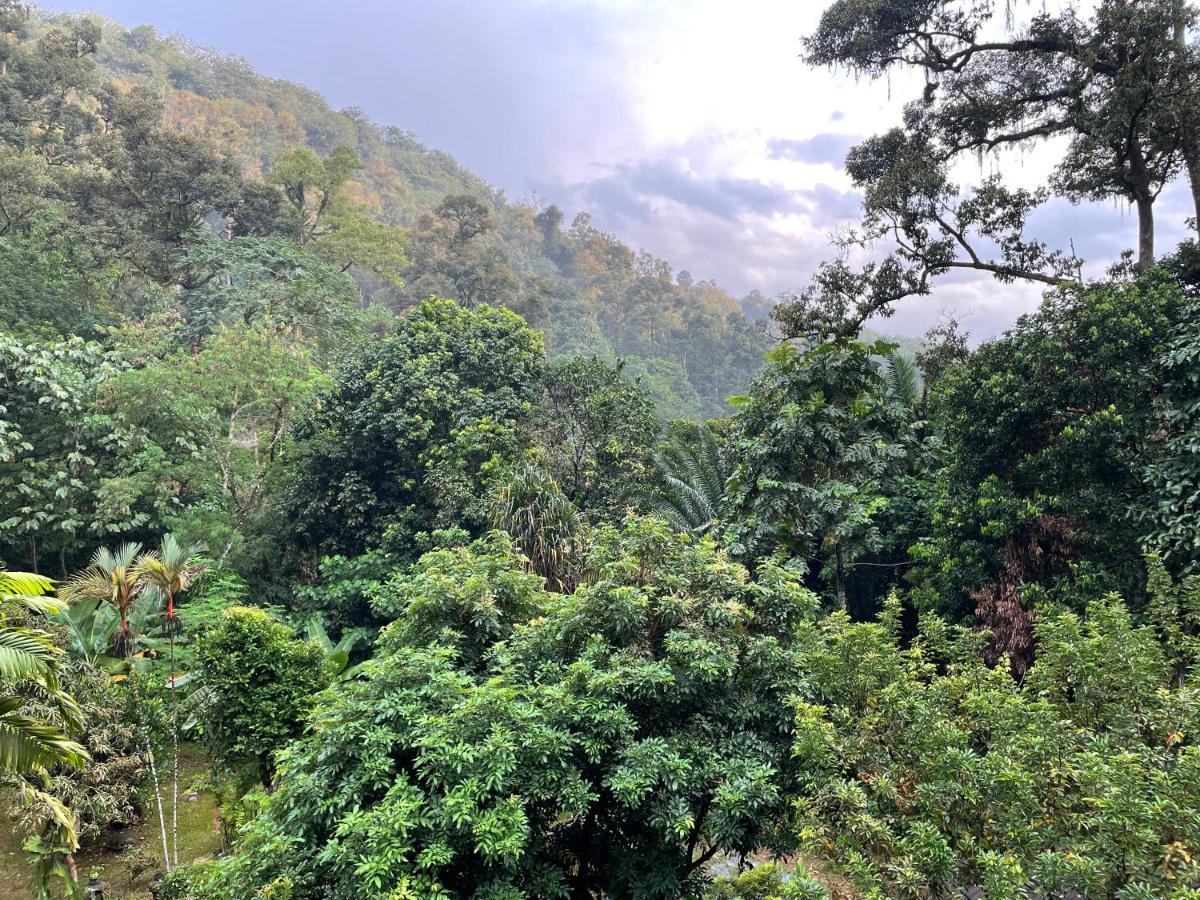 Purimai Jungle House In The Heart Of Kuala Lumpur