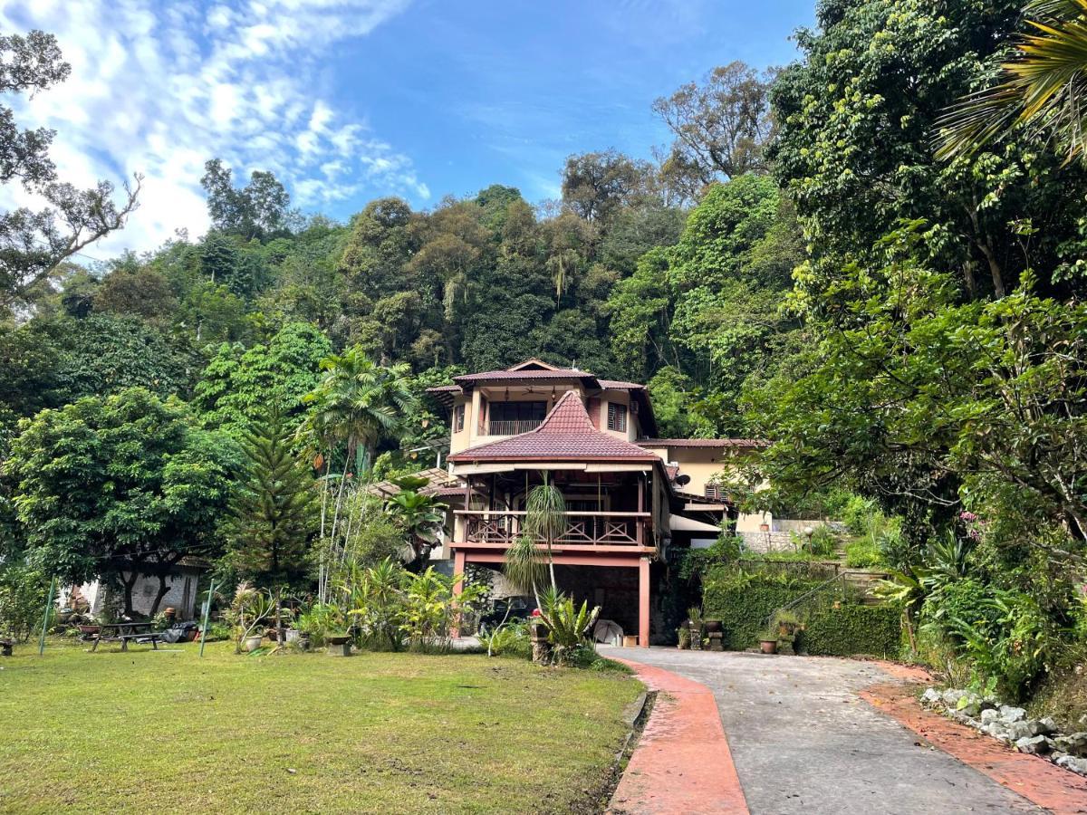 Purimai Jungle House In The Heart Of