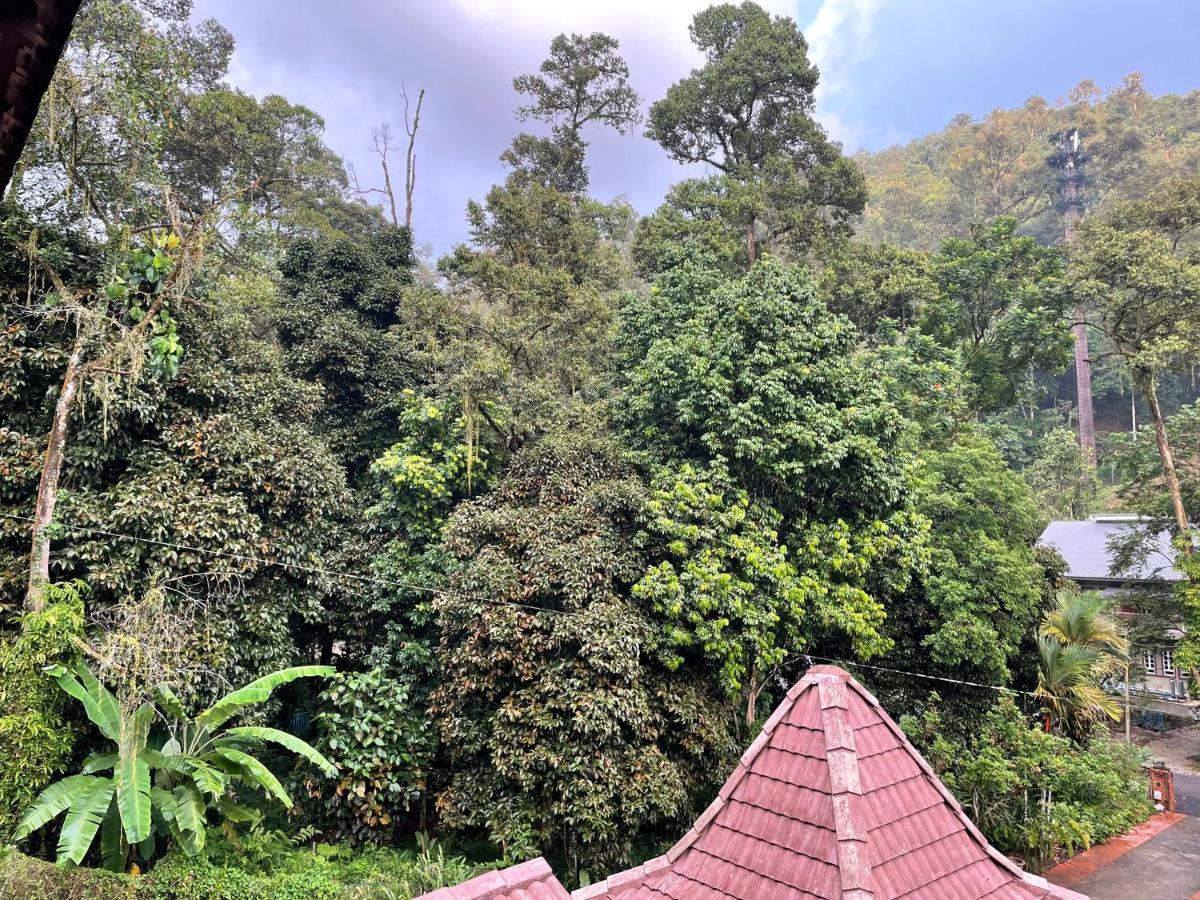 Purimai Jungle House In The Heart Of Villa