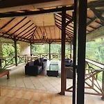 Purimai Jungle House In The Heart Of Kuala Lumpur