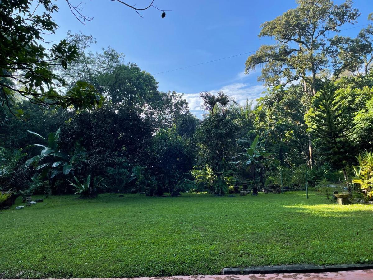 Purimai Jungle House In The Heart Of