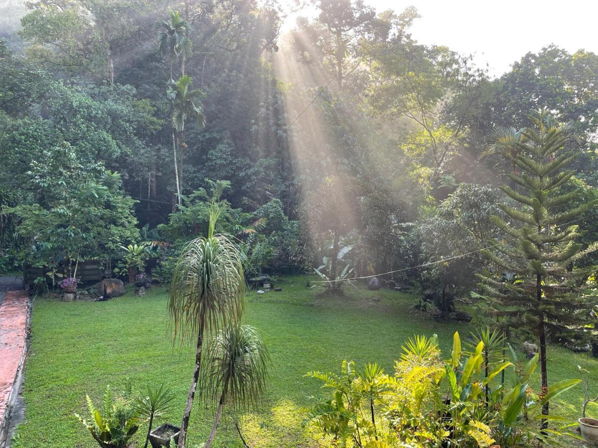 Purimai Jungle House In The Heart Of Vila Kuala Lumpur