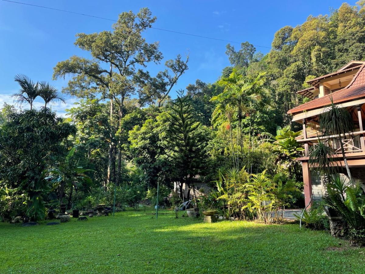 Purimai Jungle House In The Heart Of
