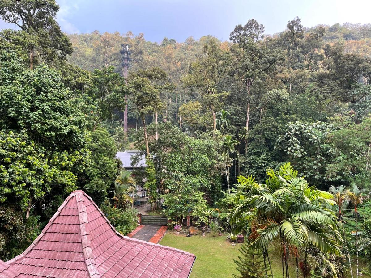 Purimai Jungle House In The Heart Of Vila *